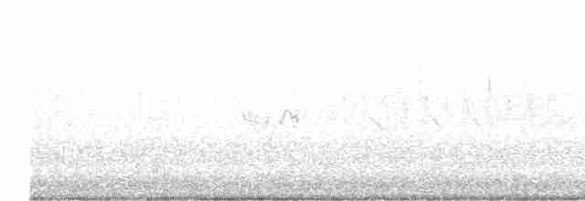 Белобровая овсянка (pugetensis) - ML617117692