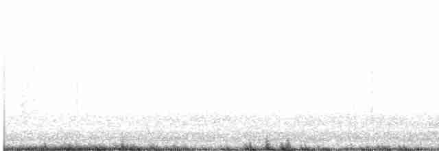 Белобровая овсянка (pugetensis) - ML617117694
