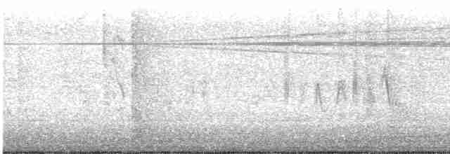 Braunaugenvireo (pusillus) - ML617119460
