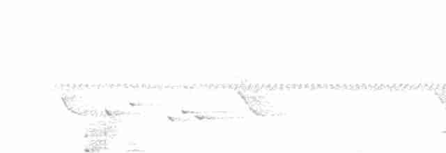 Büyük Raket Kuyruklu Drongo - ML617120481