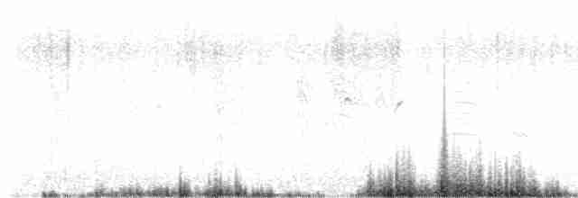 Певчий медосос - ML617120517