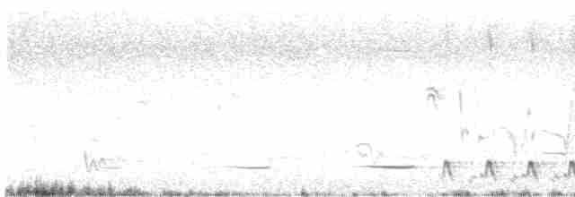 Серогрудый питуи - ML617120579