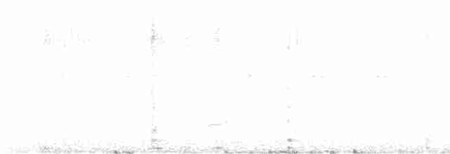 Медолюб-дзвіночок - ML617120744