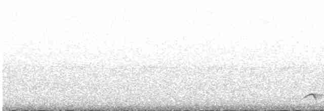 Бородатый крапивник - ML617120836