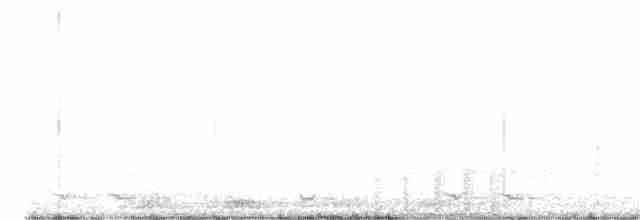 東方角鴞(sunia群) - ML617121719