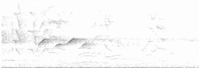 Gri Başlı Kanarya Sinekkapanı - ML617122103