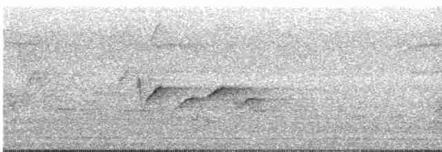 Gri Başlı Kanarya Sinekkapanı - ML617122104