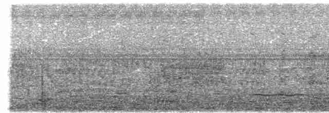 Черноголовый ибис - ML617123507