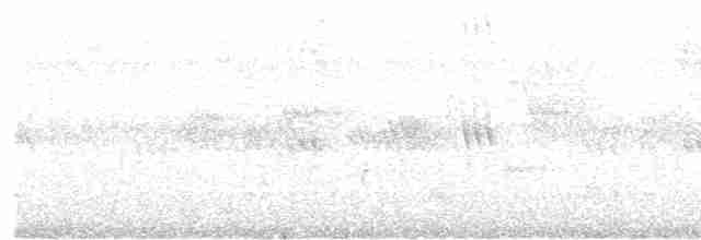 Chouette ocellée - ML617123940