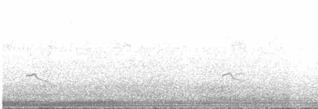 Little Ringed Plover - ML617126691