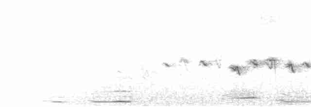 Kaya Çıtkuşu - ML617126852