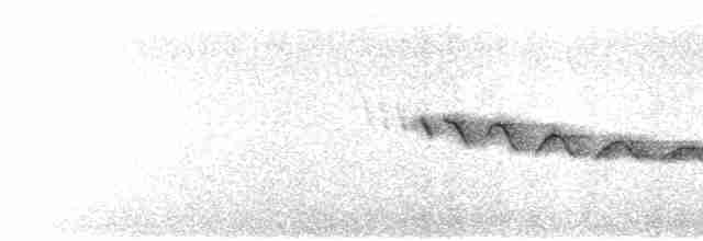 Каньонный крапивник - ML617127031