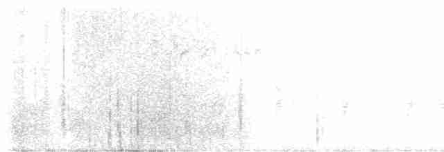 Graubrust-Olivtyrann - ML617127266