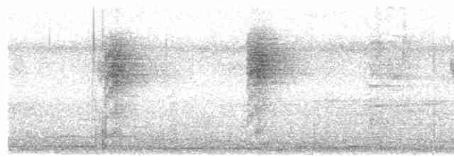 Белошейная веерохвостка - ML617127681