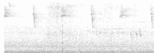 Зелоногрудый фиалкоух - ML617127752