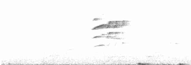 Zostérops à dos gris - ML617129287