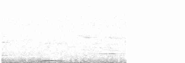 Ak Başlı Güvercin - ML617129768