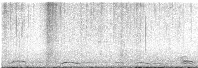 Cygne siffleur - ML617130032