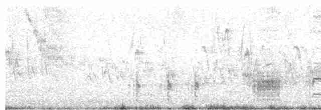 Great Reed Warbler - ML617130158