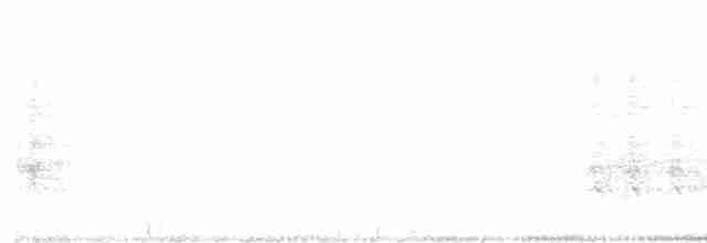 Kırmızı Gagalı Saksağan - ML617130422