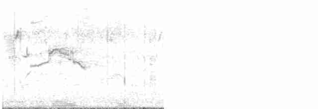 オニアジサシ - ML617131408