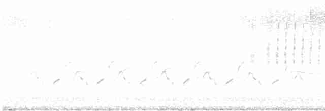 Cırcır Sesli Serçe - ML617131612