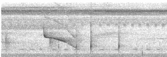 Weißflecken-Ameisenwächter - ML617132128