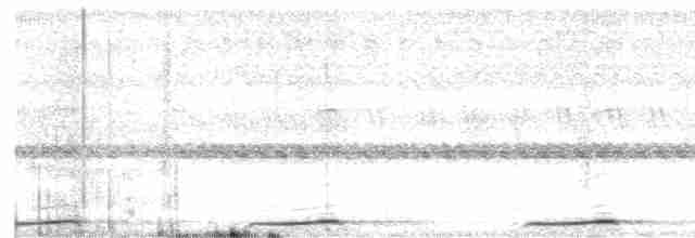 Сова-голконіг далекосхідна - ML617133324