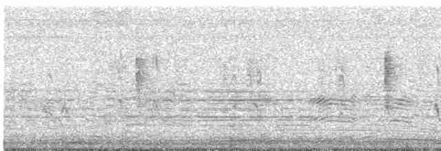 Kara Karınlı Islıkçı Ördek - ML617133664