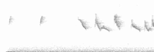 Swinhoe's White-eye - ML617134165