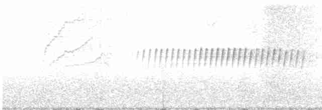 Pine Warbler - ML617135753