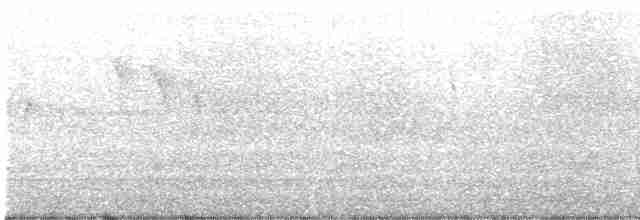 Eurasian Wren - ML617136293