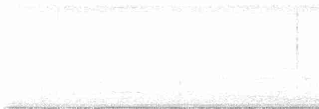 Каролинский крапивник - ML617137201