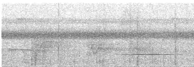 Cinereous Tinamou - ML617138084