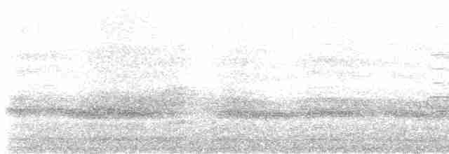 Андский скальный петушок - ML617138294