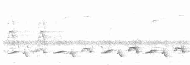 Weißbrauenrötel - ML617139859