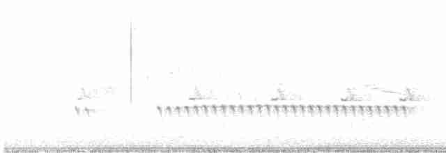 Chaparralgrasmücke - ML617140224
