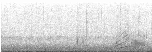 疣鼻天鵝 - ML617140891