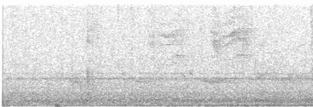Kara Kedikuşu - ML617141602