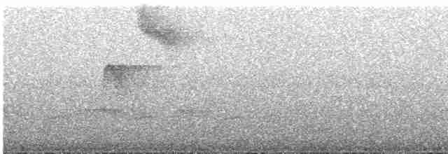 Кадук темноволий - ML617142871