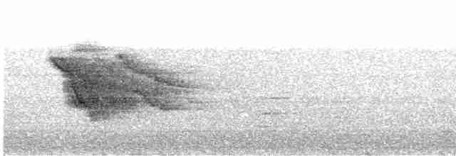 Трупіал-чернець чагарниковий - ML617143057