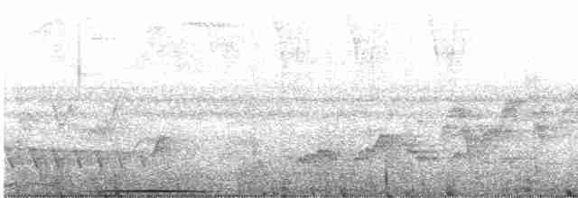 holub bělohrdlý - ML617144779