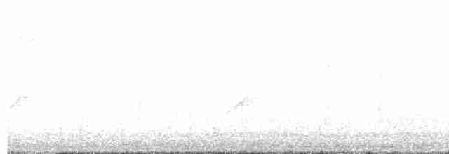 Western Olivaceous Warbler - ML617145447