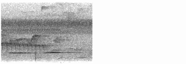 Rostbrust-Ameisendrossel - ML617146854