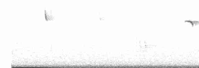 Чернохохлая гренадерка - ML617146873