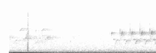 Каролинский крапивник - ML617146972