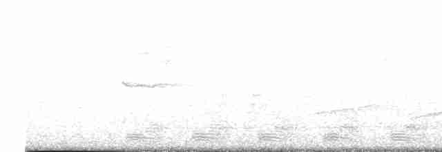 Elegant Trogon (Coppery-tailed) - ML617147073