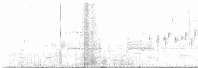 Troglodyte des marais - ML617147215