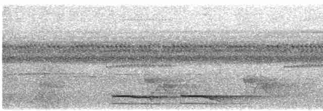 Carnifex de Buckley - ML617147223
