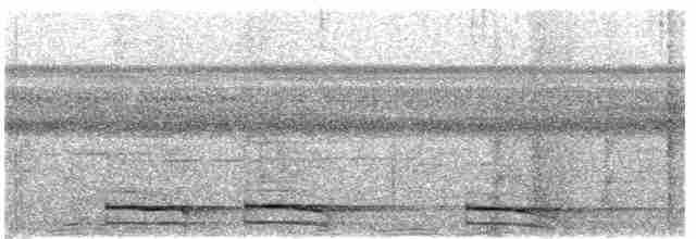 Carnifex de Buckley - ML617147224